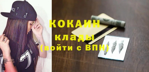 дурь Бородино