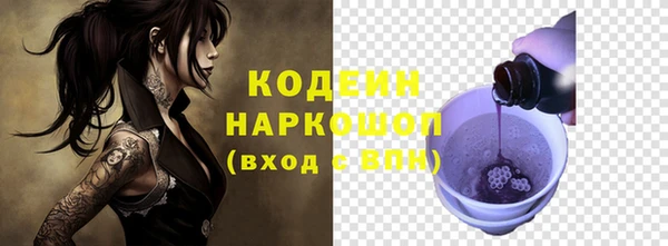 дурь Бородино
