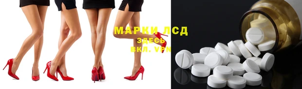 дурь Бородино