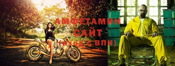 дурь Бородино