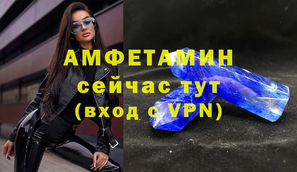 дурь Бородино