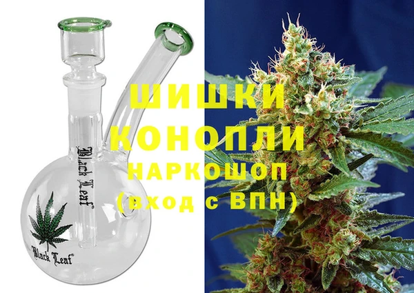 дурь Бородино